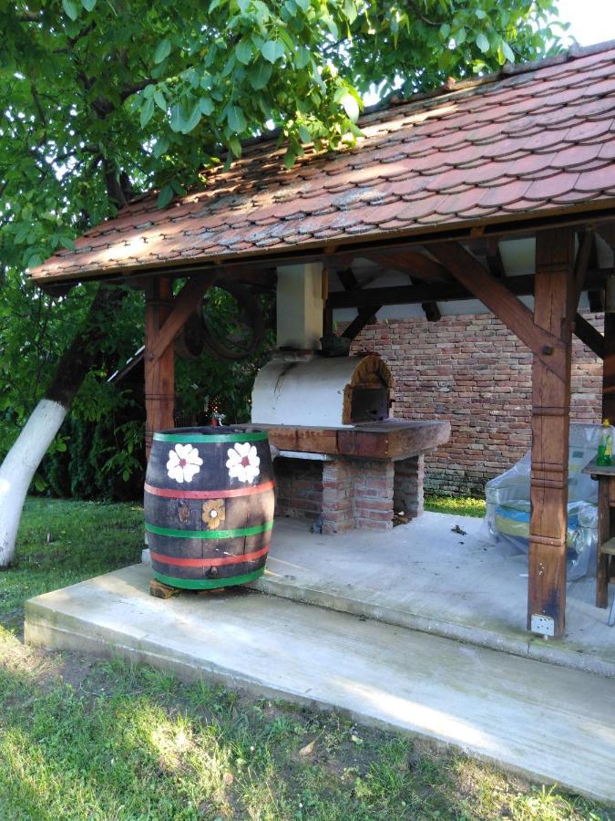 Umjetnicka Etno Kuca Luka Apartment Podravske Sesvete Bagian luar foto